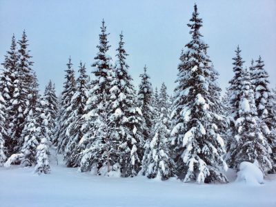 Roadtrip Lappland Winter Schnee Winterwonderland