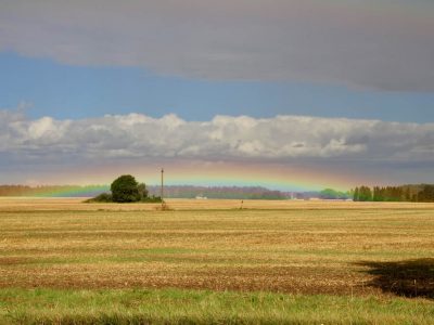 Regenbogen rainbow