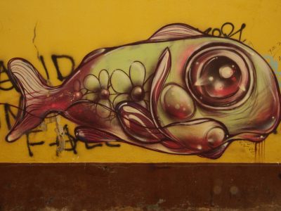 Streetart Graffiti Portugal